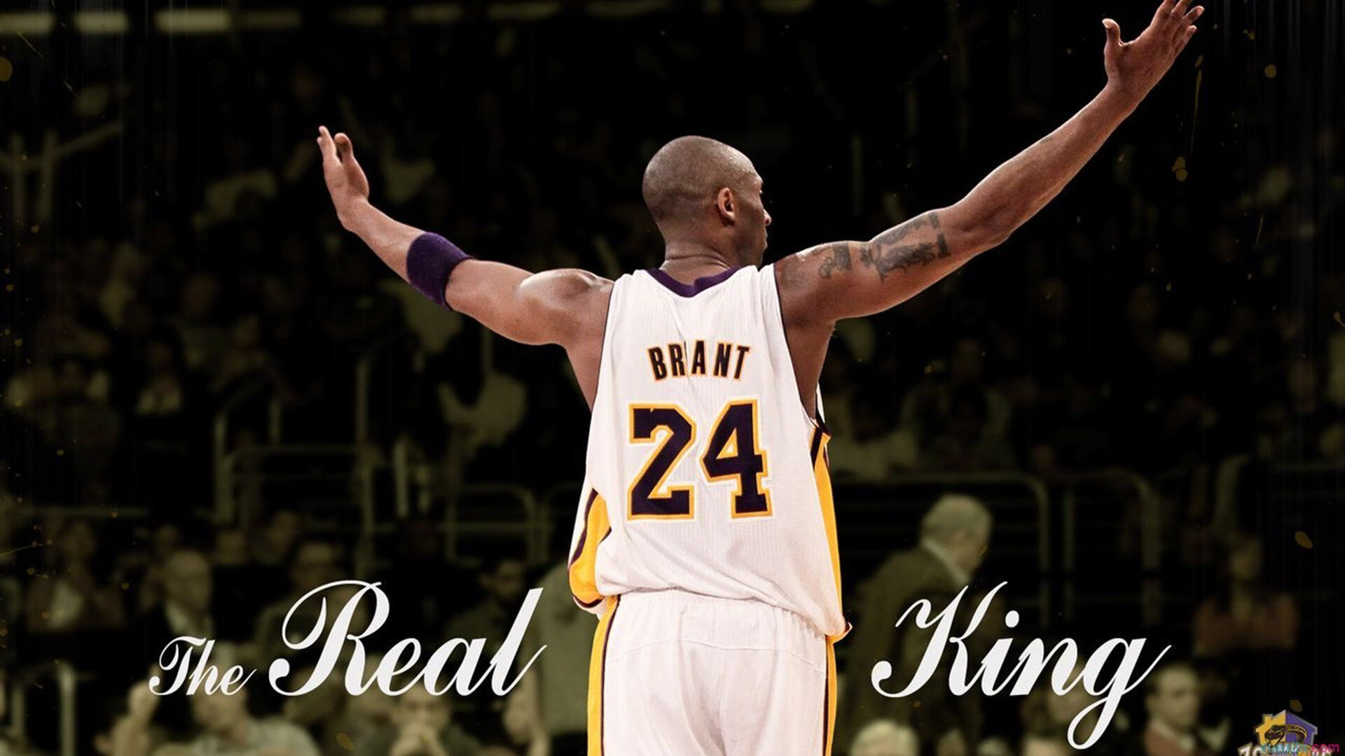 篮球教练员战术创新研讨会议成功举办，篮球教练技术